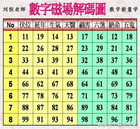 生命密碼數字解說|彩虹數字學會